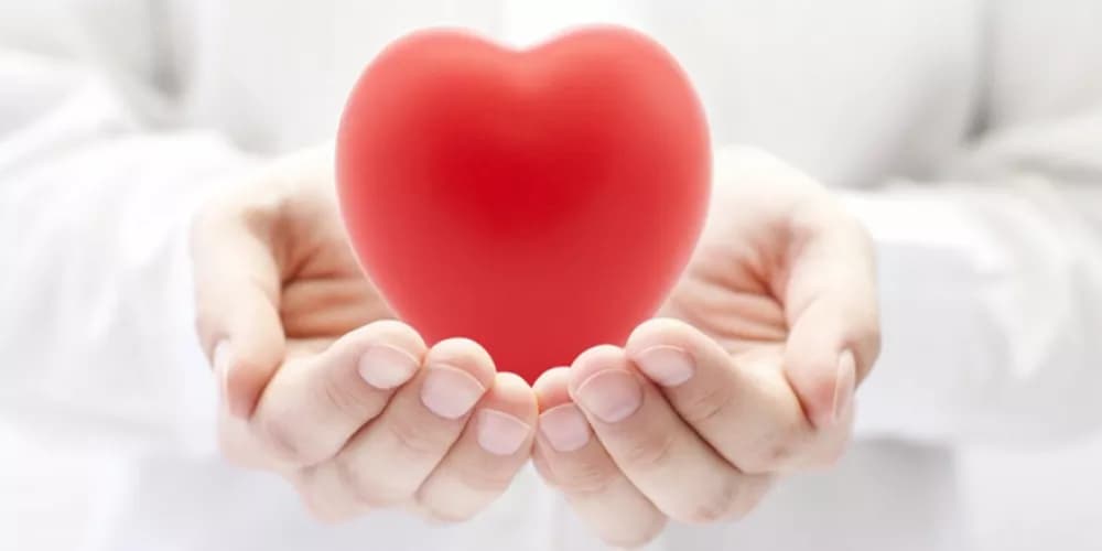 7 عادات بسيطة لصحة أفضل للقلب وكامل الجسم.. ما هي؟