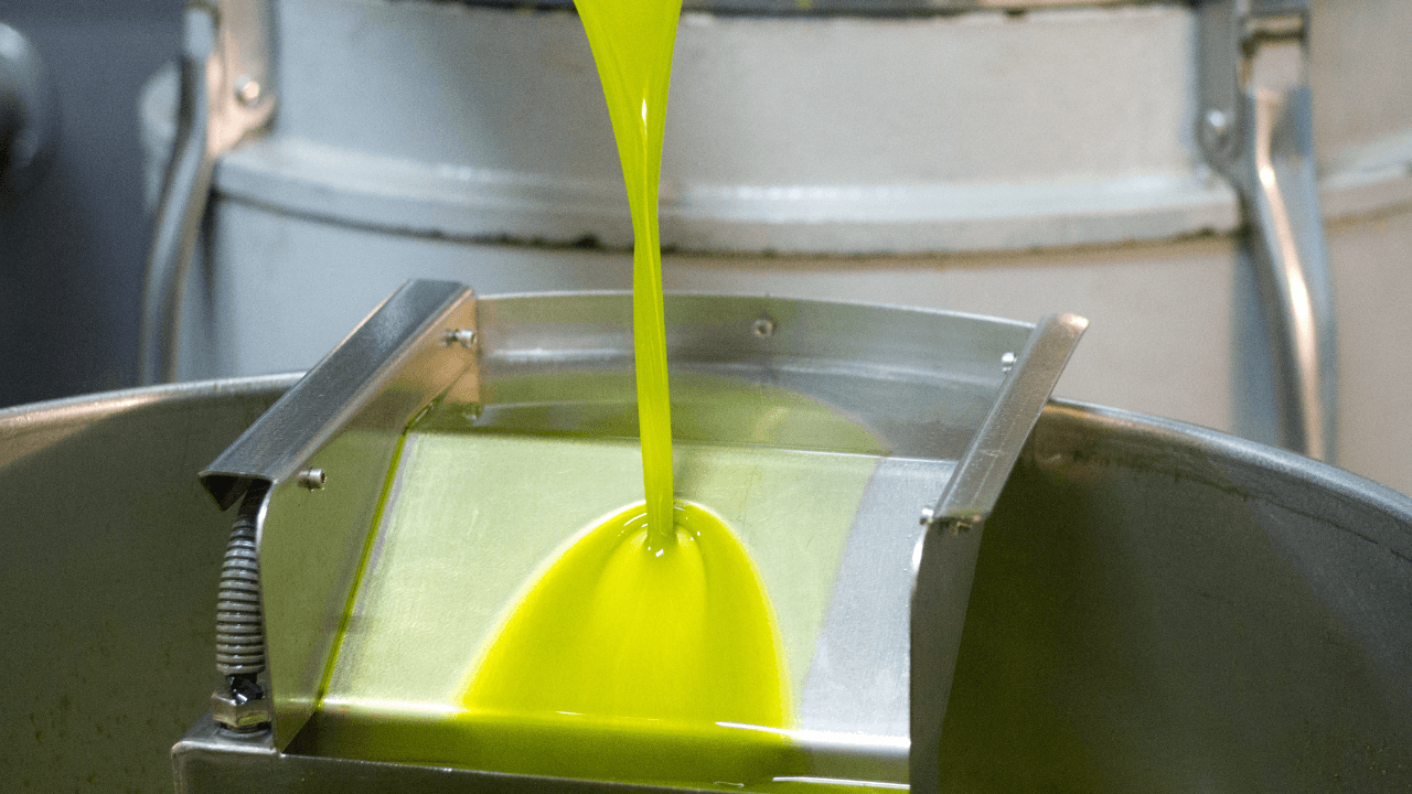 بدء استقبال طلبات استيراد زيت الزيتون من دول المجلس الدولي للزيتون