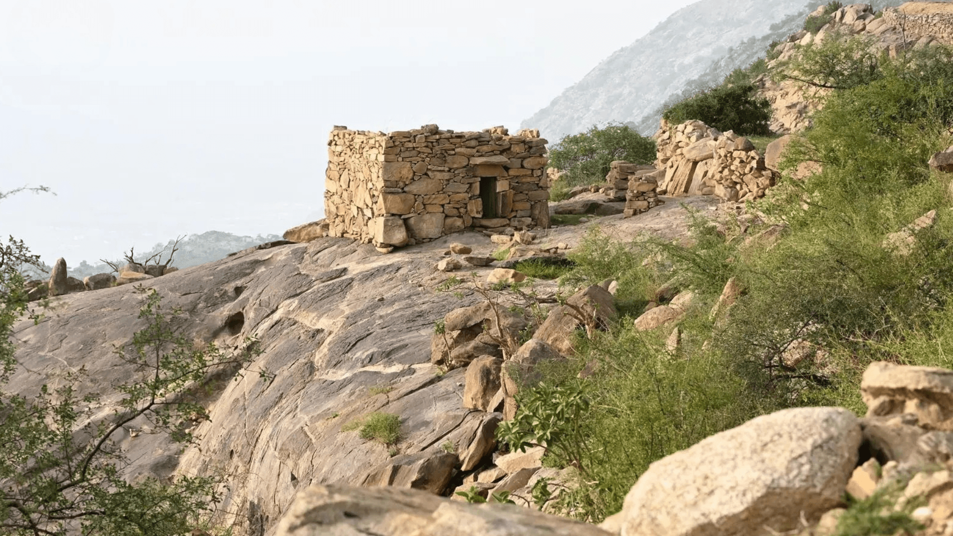 تراث عسير الزراعي: مدافن الحبوب رمز للتكافل الاجتماعي والاستدامة الغذائية .