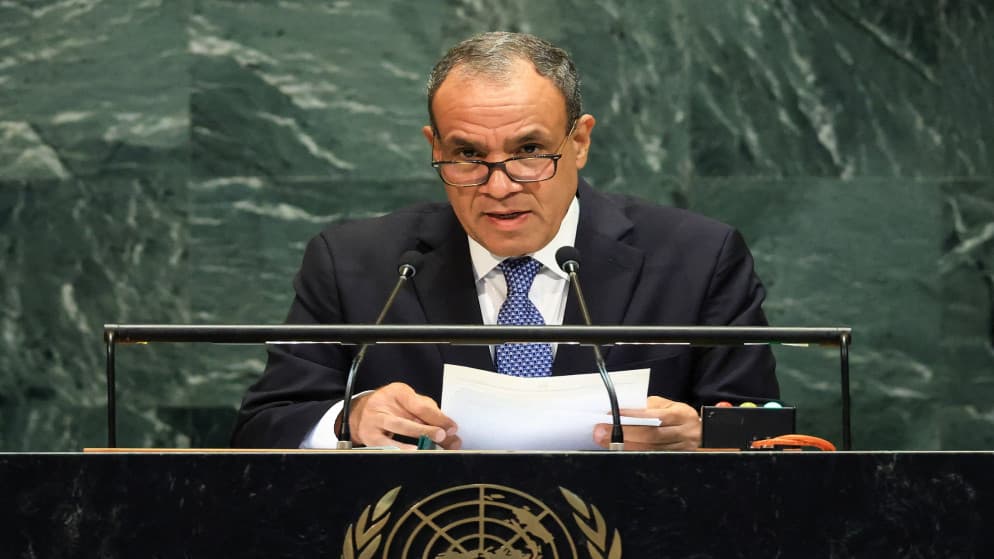 وزير خارجية مصر: لن نكون بوابة لتهجير الفلسطينيين