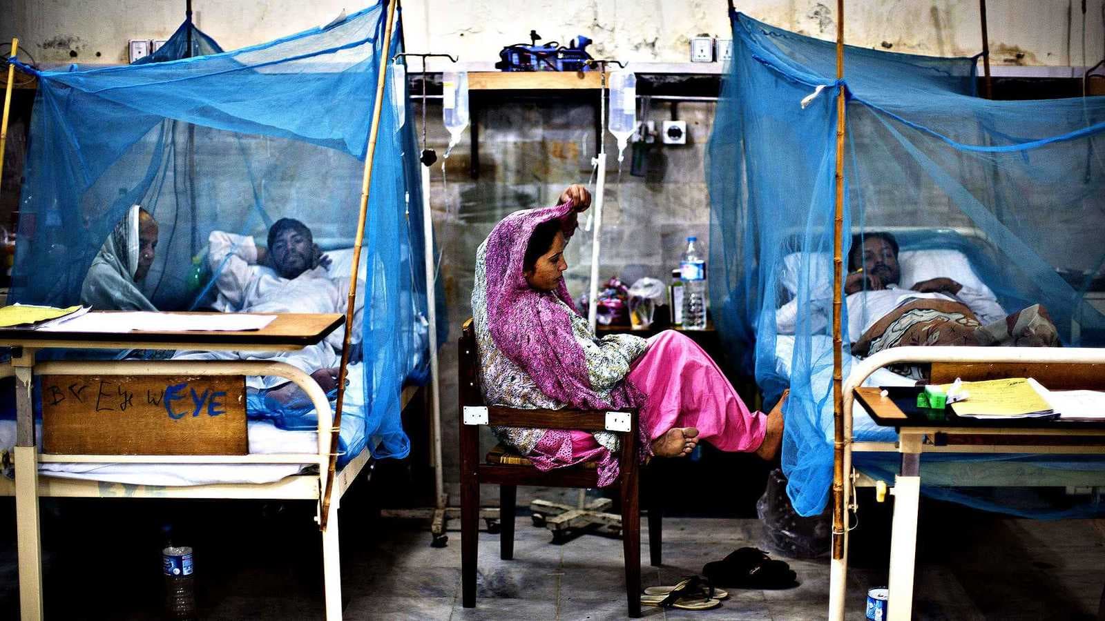 باكستان.. 23 إصابة جديدة بحمى الضنك