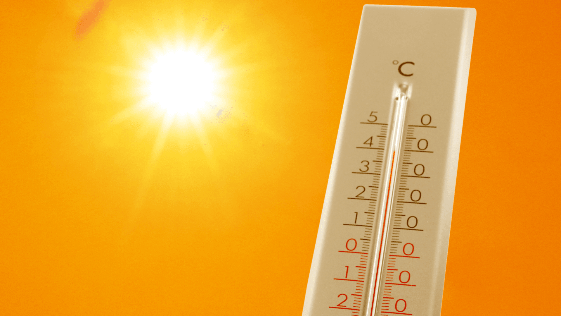 “العالمية للأرصاد الجوية”: عام 2025 من بين أكثر الأعوام حرارة على الإطلاق