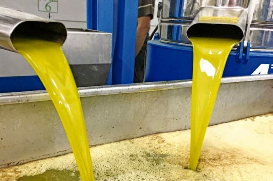 بدء استقبال طلبات استيراد زيت الزيتون من دول المجلس الدولي للزيتون