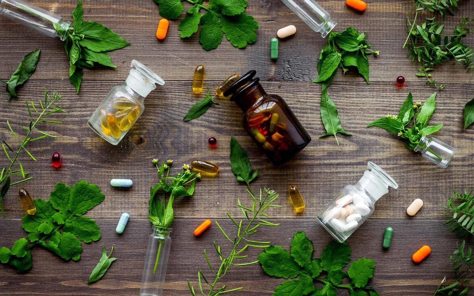 الطب الشعبي بين الإرث والبحث العلمي.. خبير يوضح أنواع الأعشاب وحدود أمانها
