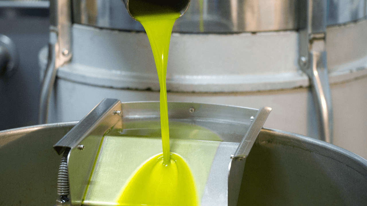 رغم قلة المحصول.. هل تستقبل المعاصر كميات أقل من ثمار الزيتون المحددة؟