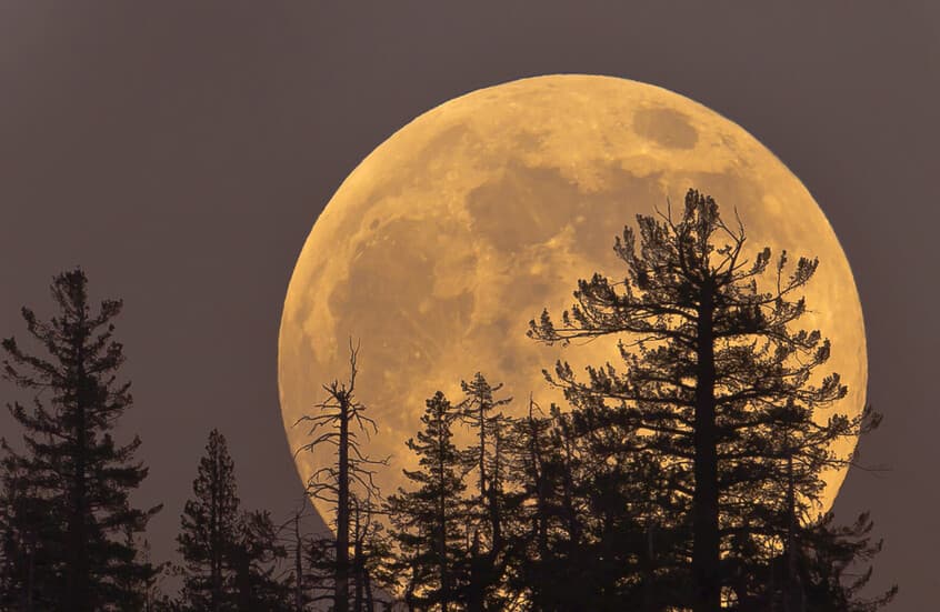 آخر بدر عملاق في 2025 يودع السماء بحدث فلكي مثير