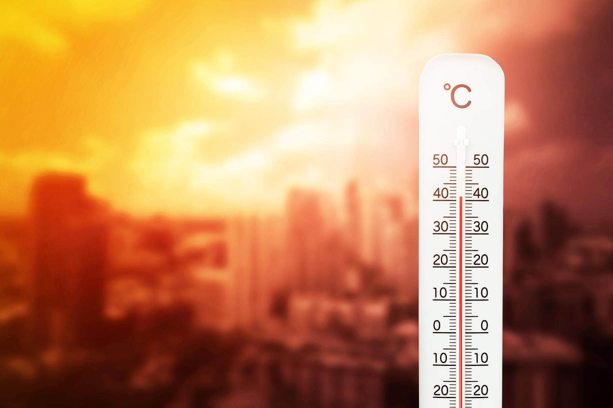 46.5 مئوية في الباقورة.. تفاصيل أعلى درجات الحرارة بالأردن