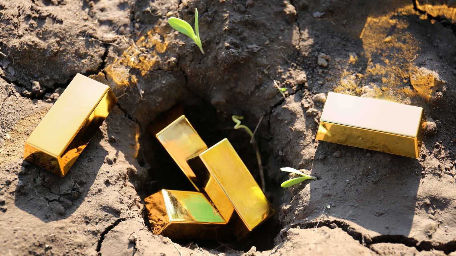 "صدمة" فرنسي بعد التبليغ عن كنز ذهب مدفون في حديقة منزله