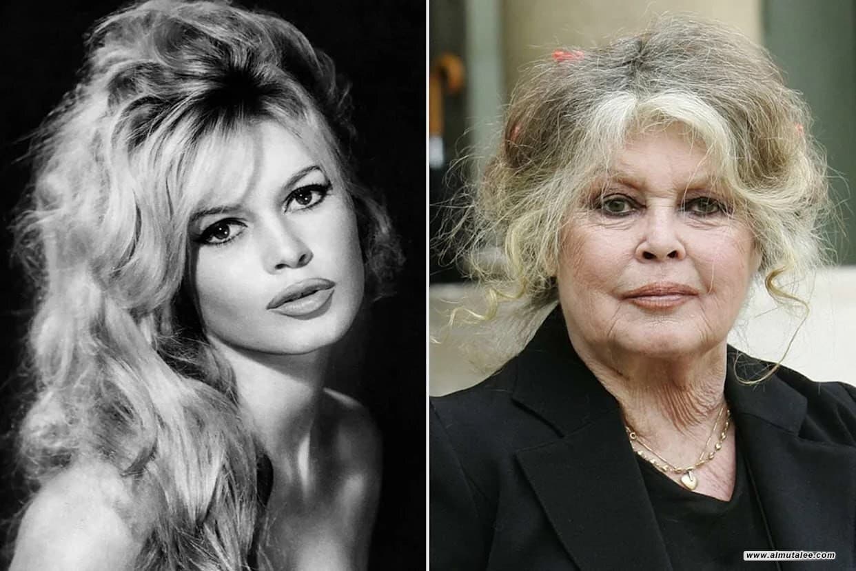 "النسبة الذهبية".. سر جمال بريجيت باردو أيقونة هوليوود