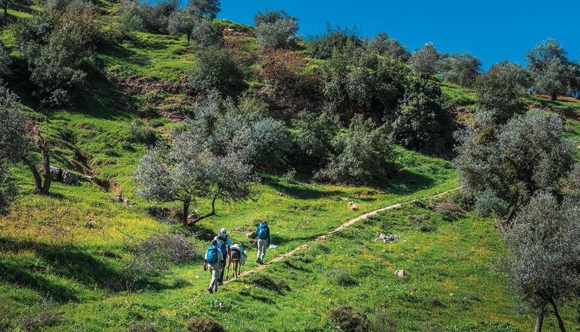 كيف أنعشت المسارات البيئية والمواقع الأثرية اقتصاد عجلون؟