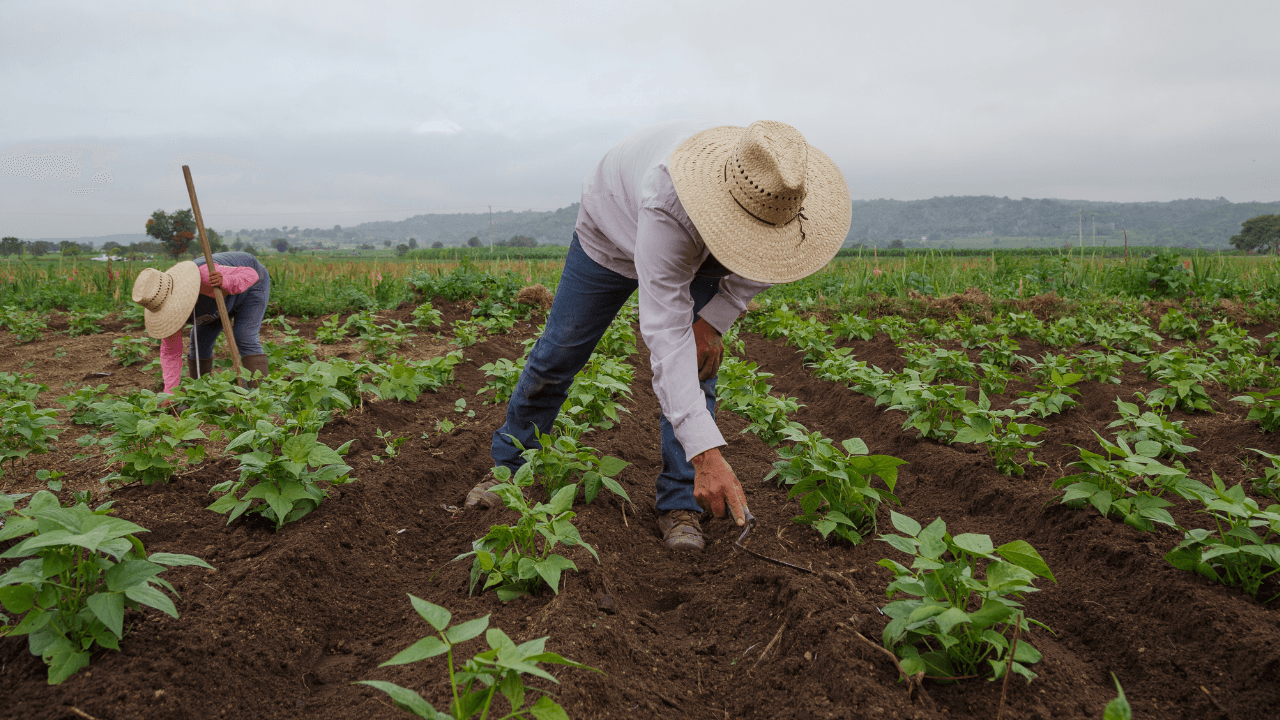 اتفاقية لتعزيز تمويل صغار المزارعين ودعم الشمول المالي