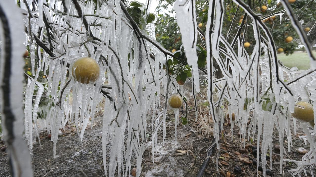 الأرصاد تُحذر من ليلة شديدة البرودة وتشكل للصقيع فجر السبت في عدة مناطق