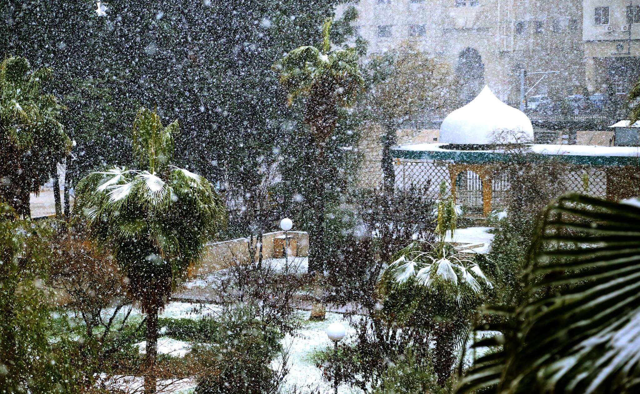 الجامعة الأردنيّة تُعلن تحويل دوام الطلبة الثلاثاء عن بُعد.. وتأجيل الامتحانات إلى هذا الموعد