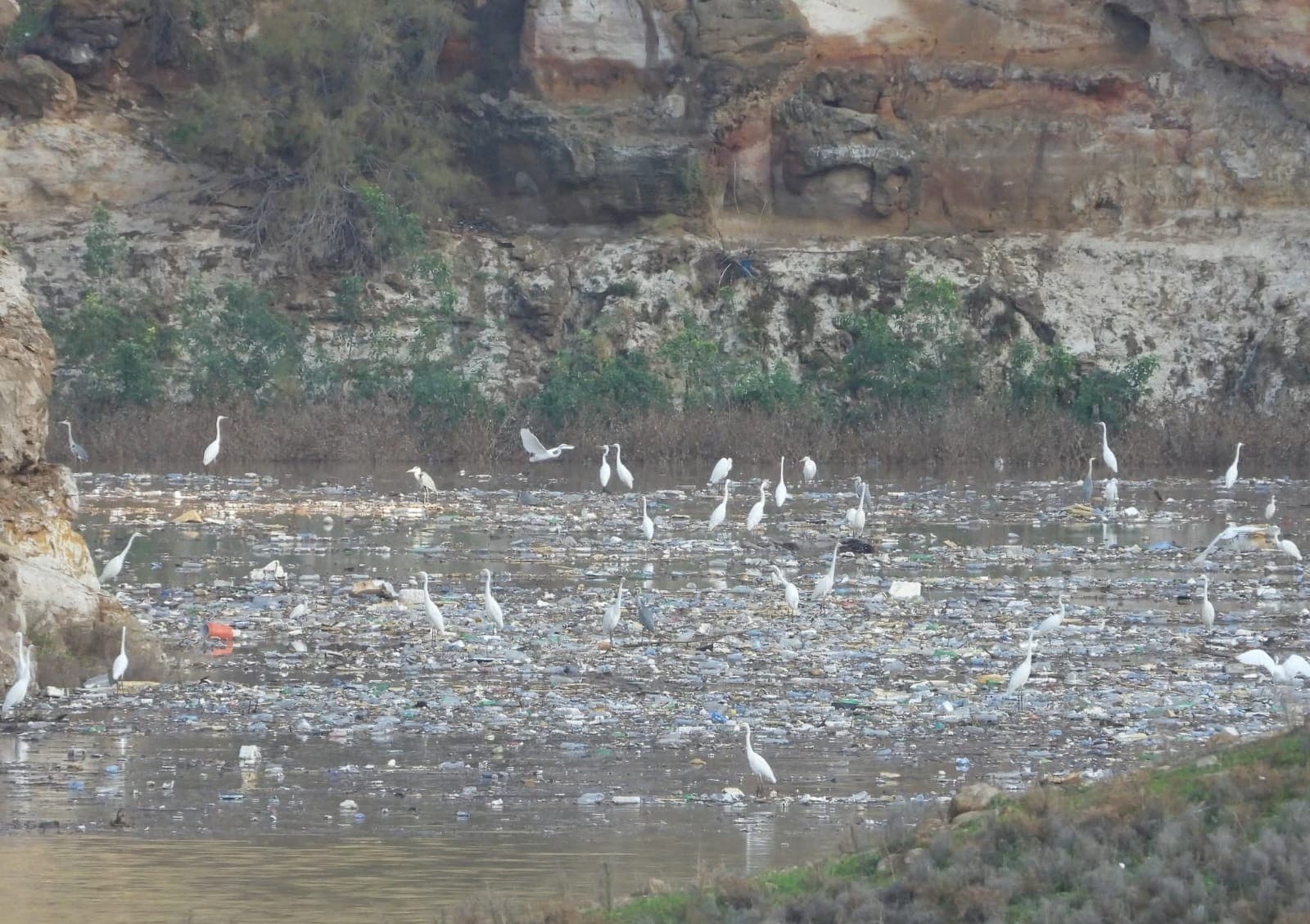 مصور يحذر من رمي "المخلفات البلاستيكية بالشارع"..ويقول:"تستقر في سد الملك طلال"