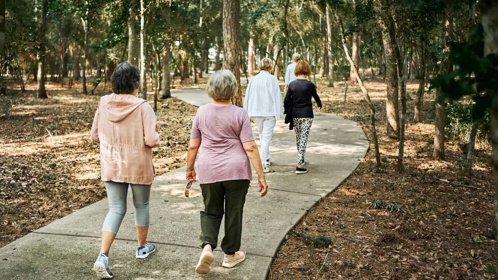 المشي يحمي الدماغ ويبطئ مرض الزهايمر لدى كبار السن