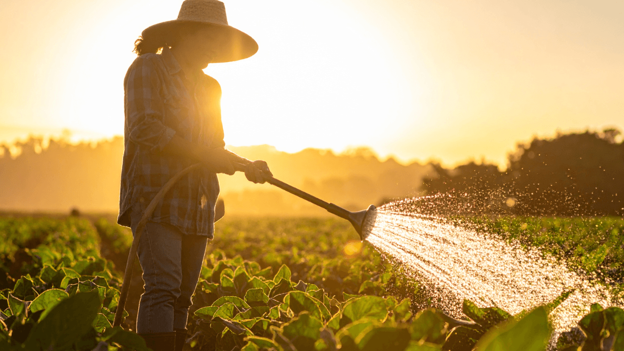 "زراعة جرش" تُنفذ 276 مشروعاً للحصاد المائي منذ مطلع 2025