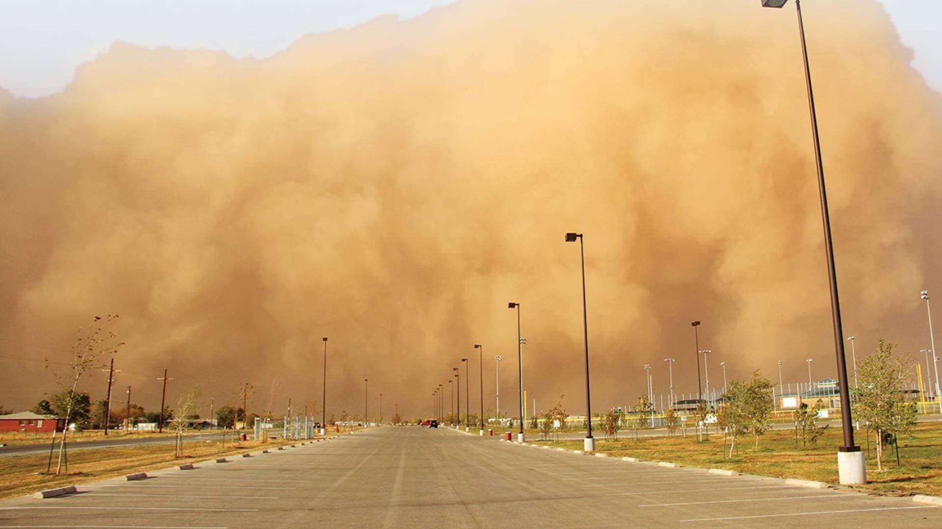 الأرصاد تحذر من تدني مدى الرؤية على طريق الشيدية–المدورة بسبب الغبار