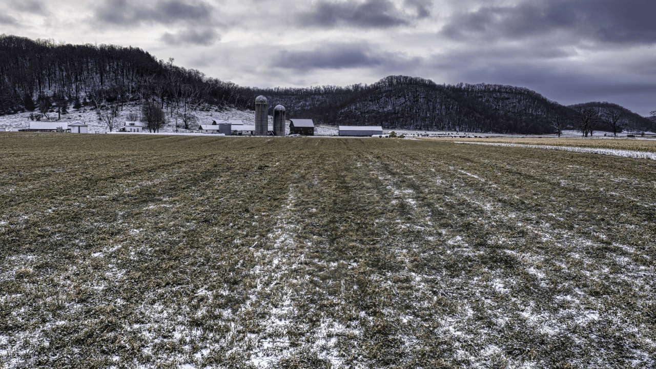 لتجنب خسائر الصقيع والسيول.. "الزراعة" تضع خارطة طريق لحماية المزارع والثروة الحيوانية