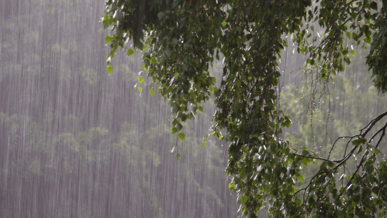 أمطار غزيرة في الشمال والوسط ليلاً وتحذير من السيول