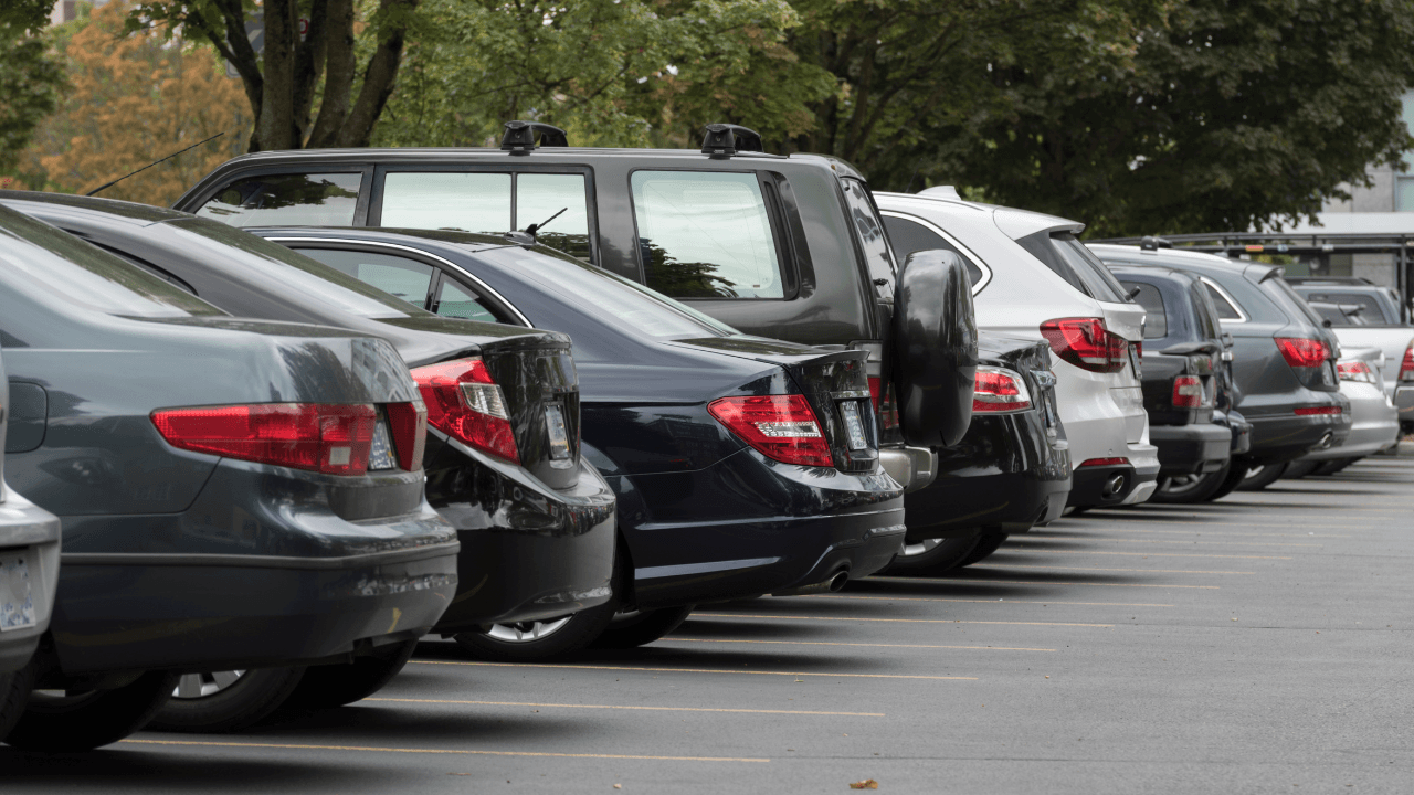 "رخصة القيادة ليست رفاهية"..  مطالبات بمراجعة قانون الترخيص بعد تكرار الرسوب وتأخير الإصدار