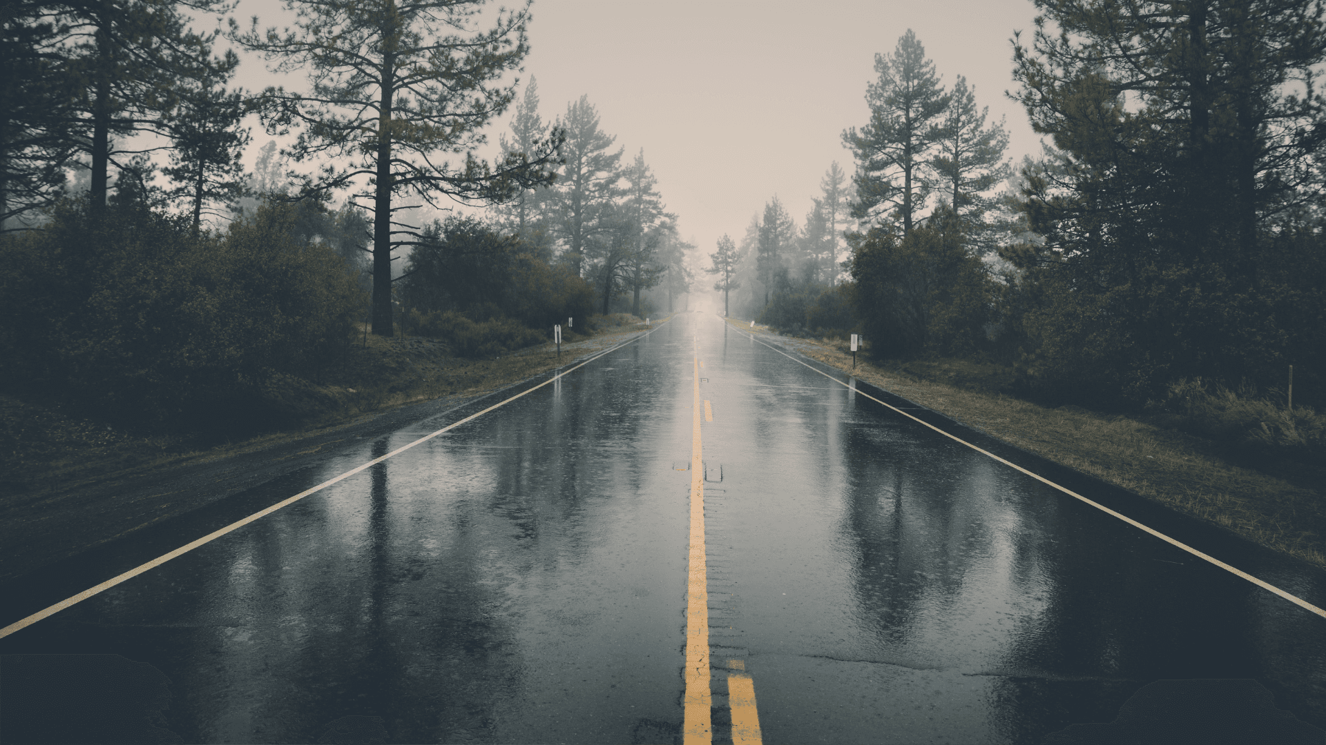 الأرصاد الجوية: أمطار غزيرة منذ فجر الثلاثاء و33.5 ملم في صما بإربد