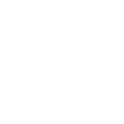 Play Icon