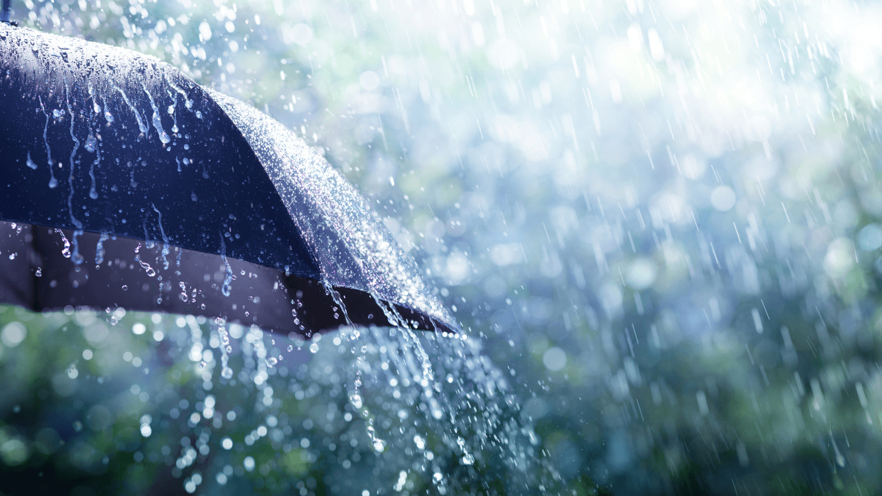 زخات مطرية خفيفة وطقس مائل للبرودة