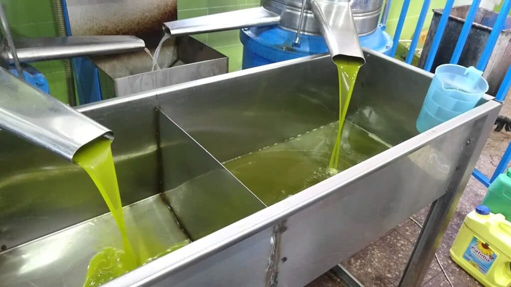 وزير الزراعة يوضح سبب عدم استيراد زيت الزيتون من سوريا هذا الموسم