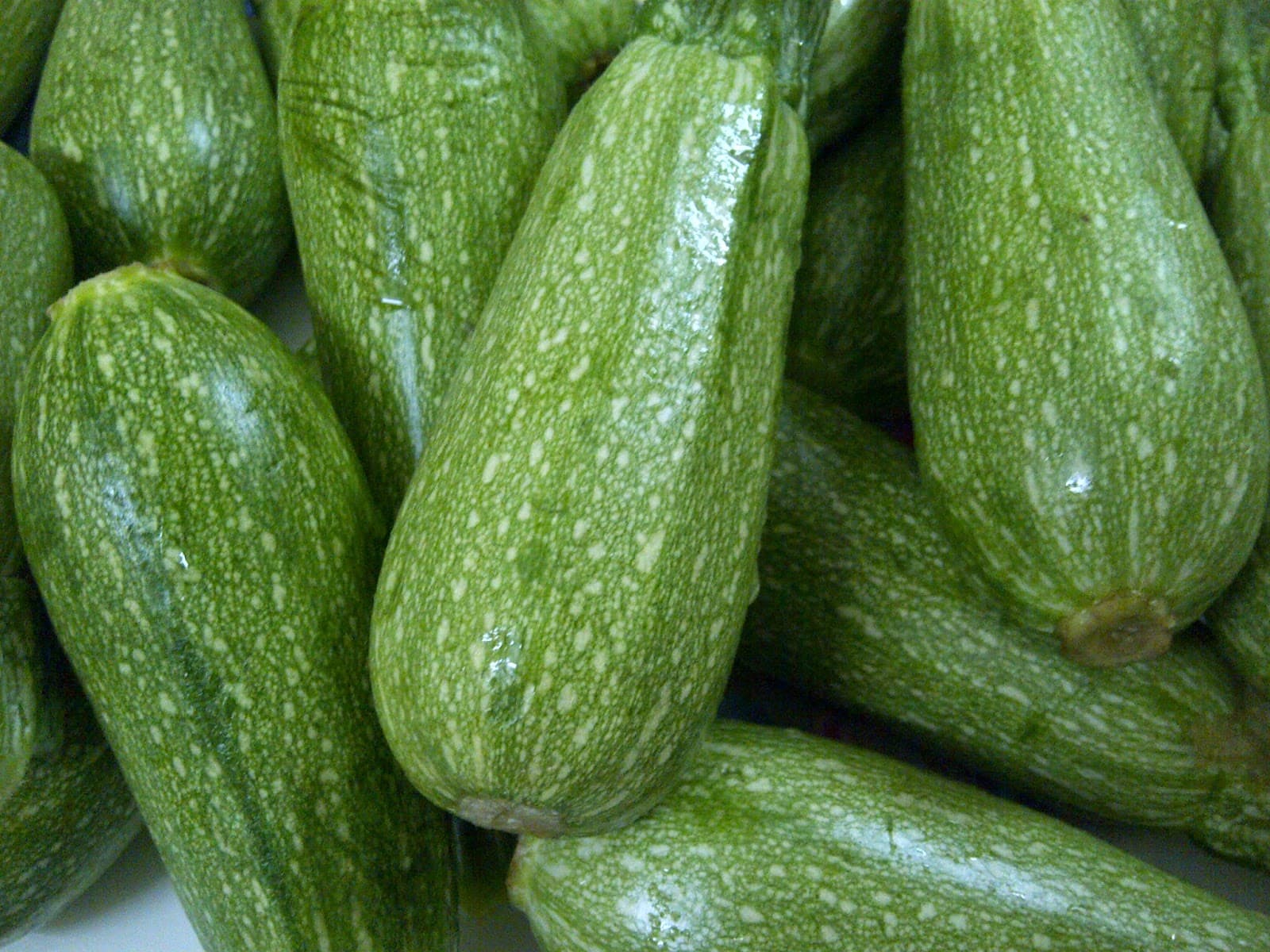 الدار تأخذكم في رحلة "الكوسا" من المزرعة إلى المستهلك وتضخم أسعارها