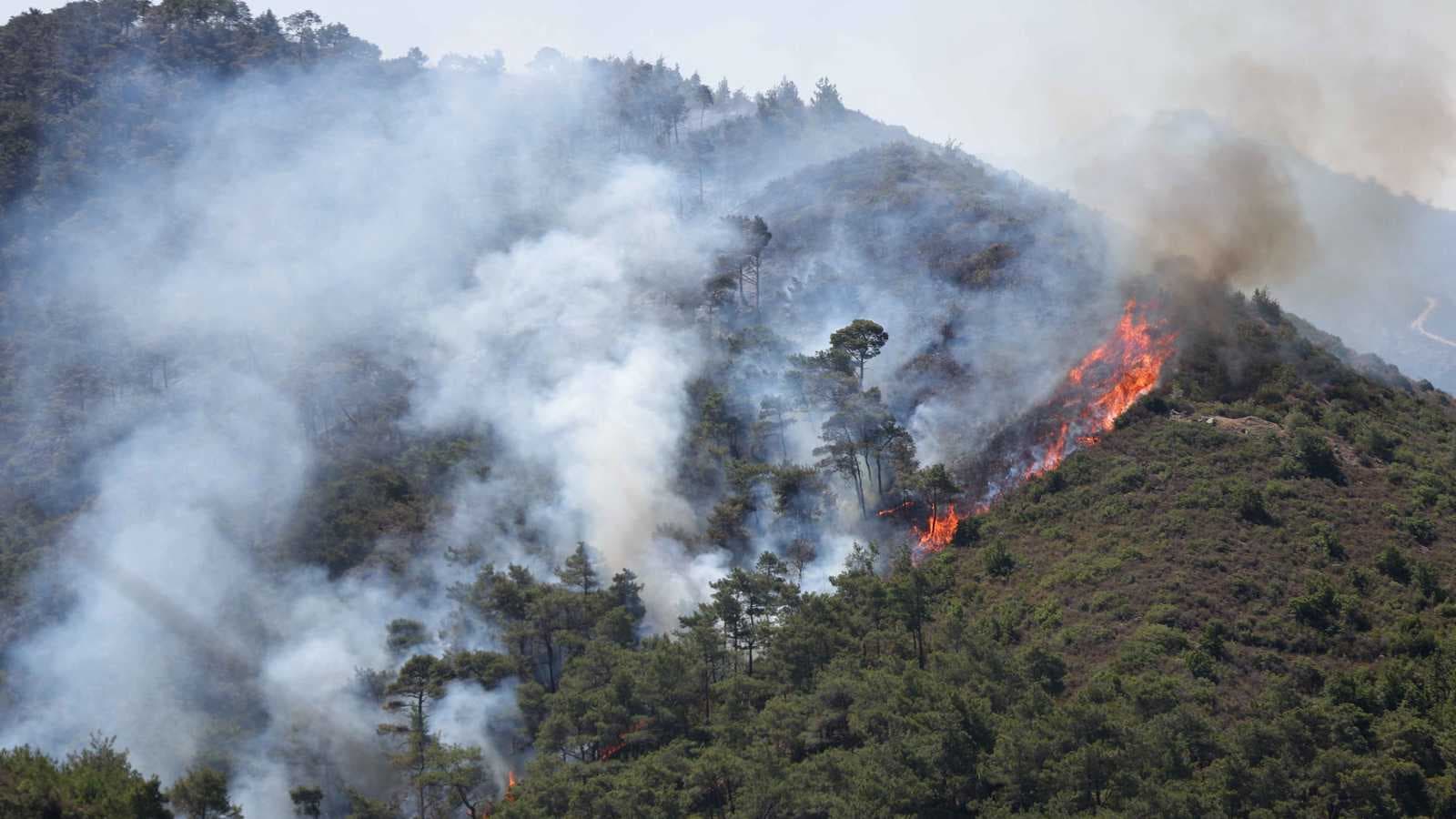 سوريا.. الحرائق تشتعل من جديد في جبال اللاذقية