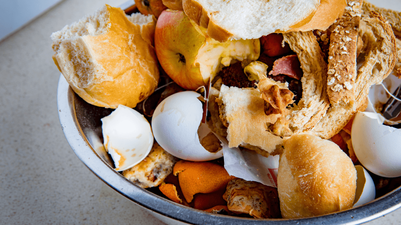 81.3 كيلوغرامًا للفرد.. أرقام رسمية تكشف حجم هدر الغذاء في الأردن