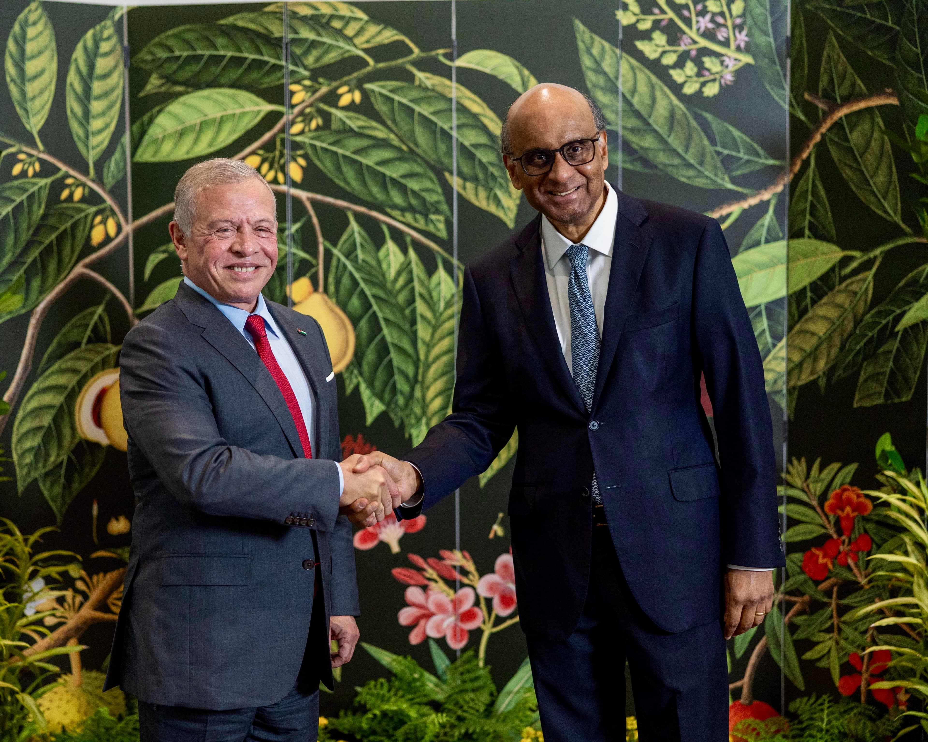 الملك والرئيس السنغافوري يبحثان آليات تعزيز التعاون وأبرز مستجدات الإقليم