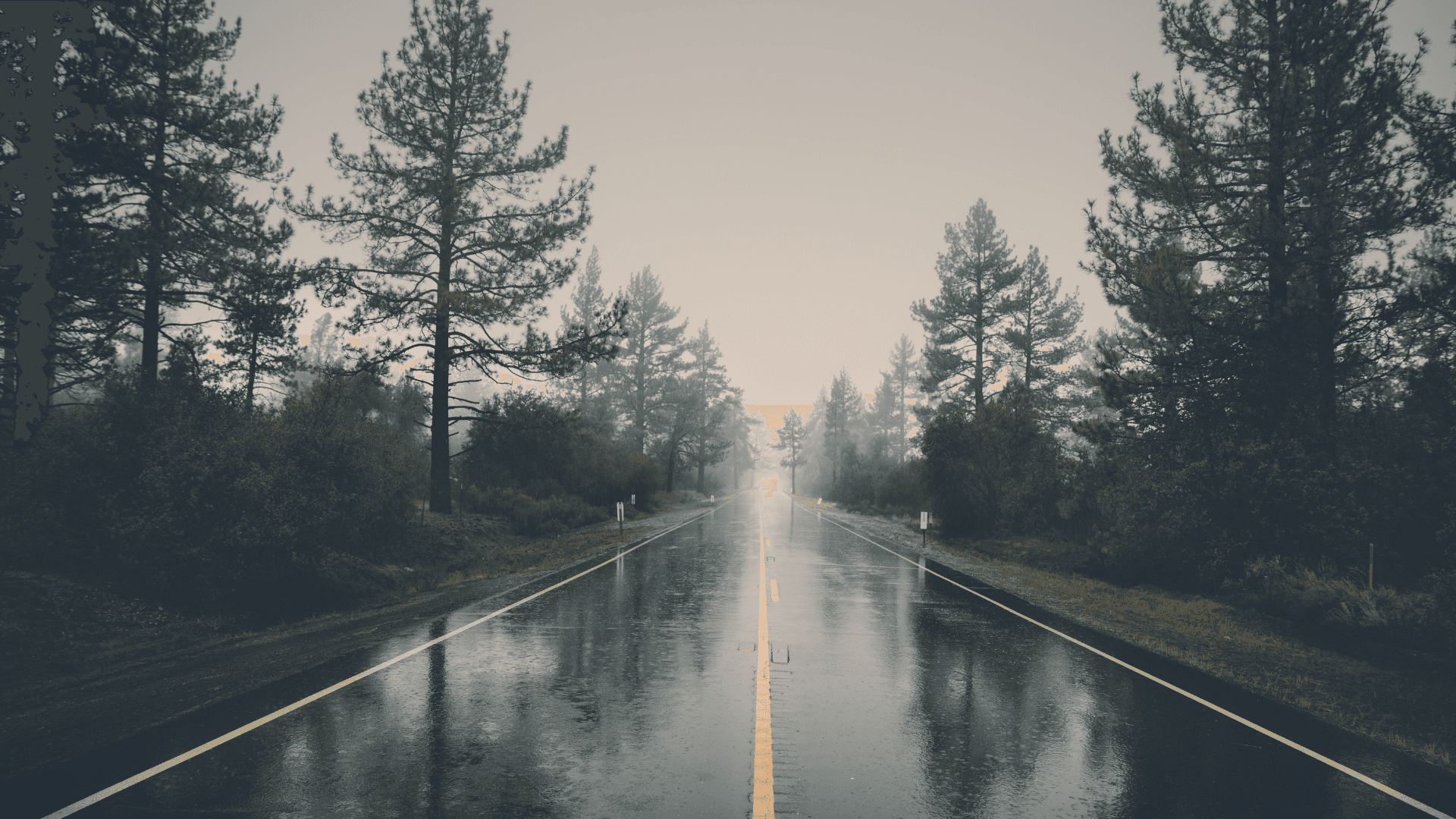 الأرصاد تكشف عبر "عين" موعد المنخفض الجوي القادم للأردن