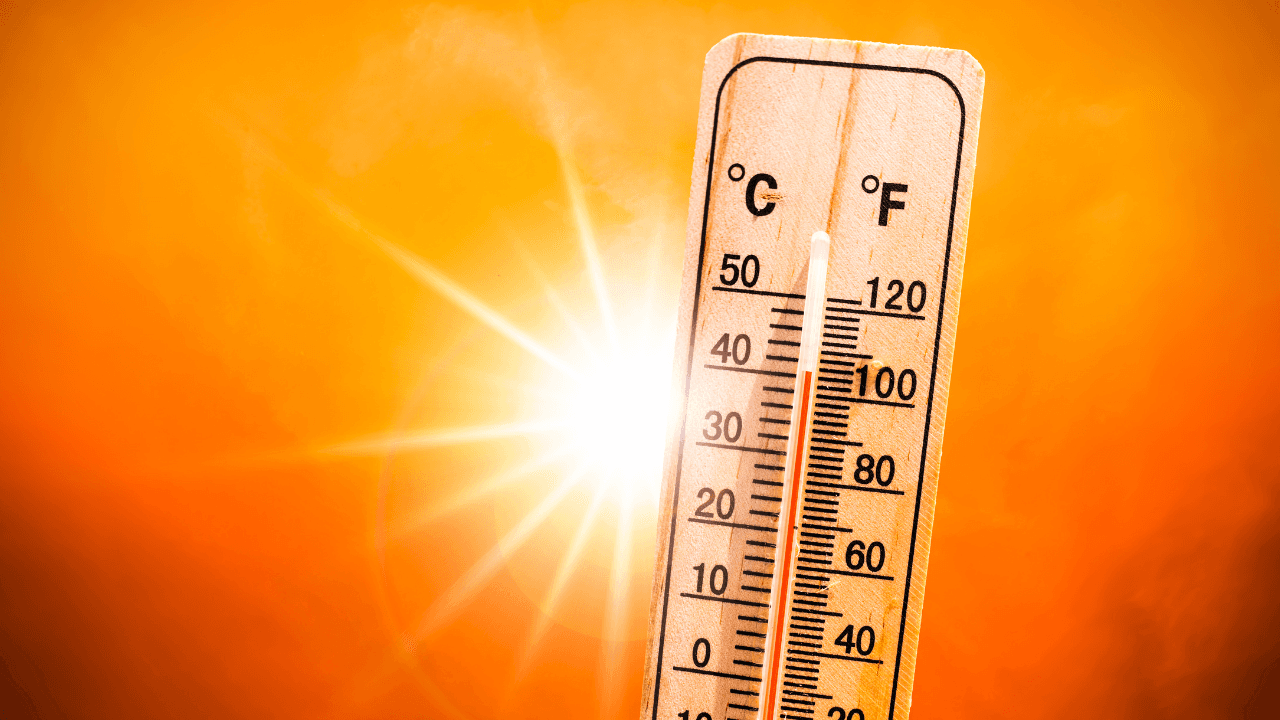 علماء: 2025 سيكون ثاني أو ثالث الأعوام الأعلى حرارة على الإطلاق