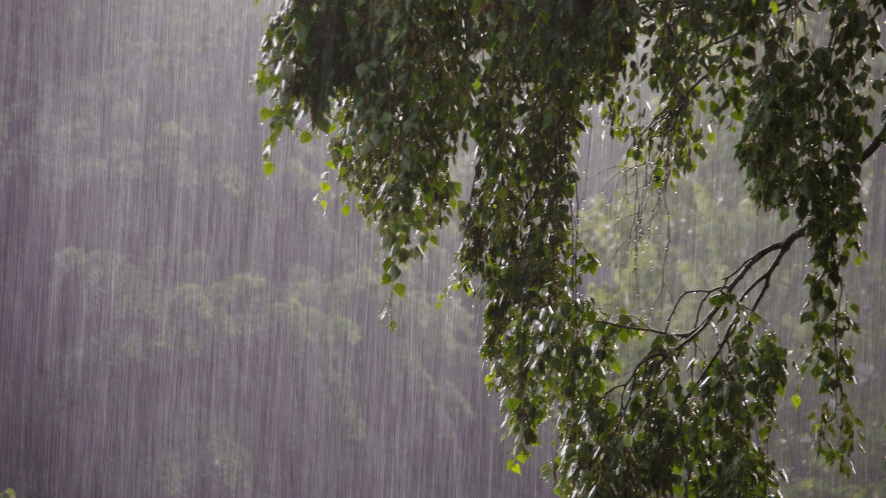 بلدية الأزرق تعلن جاهزيتها للتعامل مع الظروف الجوية المتوقعة