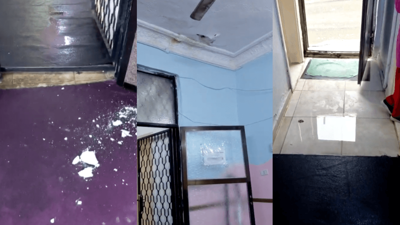 "اتحاد المرأة" يرد على تهيئة مركز رؤية بالوحدات: إمكانياتنا متواضعة.. صور