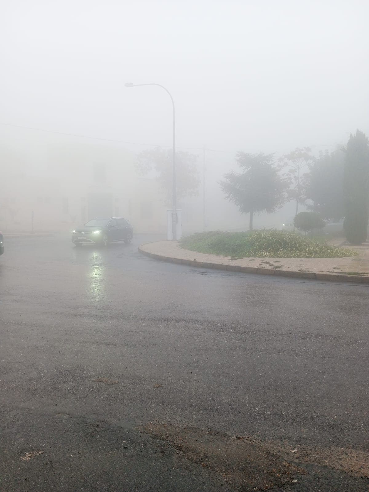 الأرصاد: أربعة أيام من الطقس البارد وتحذيرات من الضباب والصقيع