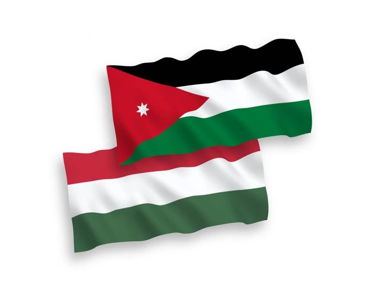 مباحثات أردنية هنغارية لتعزيز التعاون التجاري والاستثماري