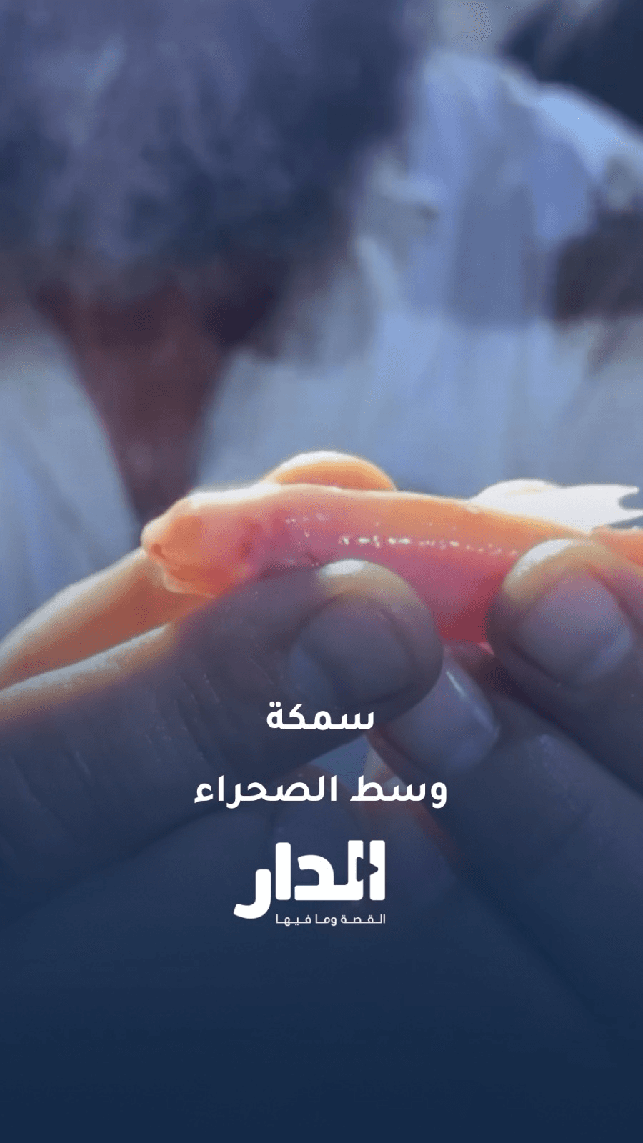 اكتشاف علمي مهم في صحراء العراق الغربية.. أسماك عمياء بأحجام قياسية