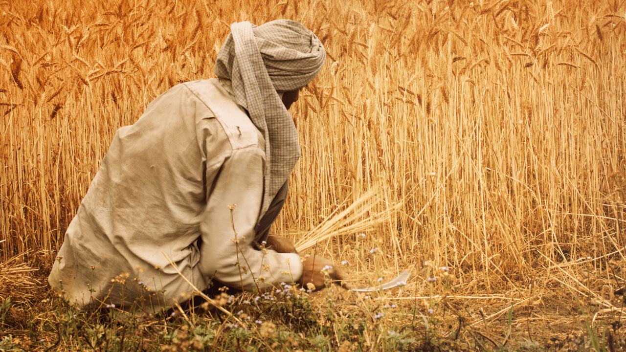 "الإقراض الزراعي" يضخ 62 مليون دينار لـ12.5 ألف مستفيد منذ بداية 2025