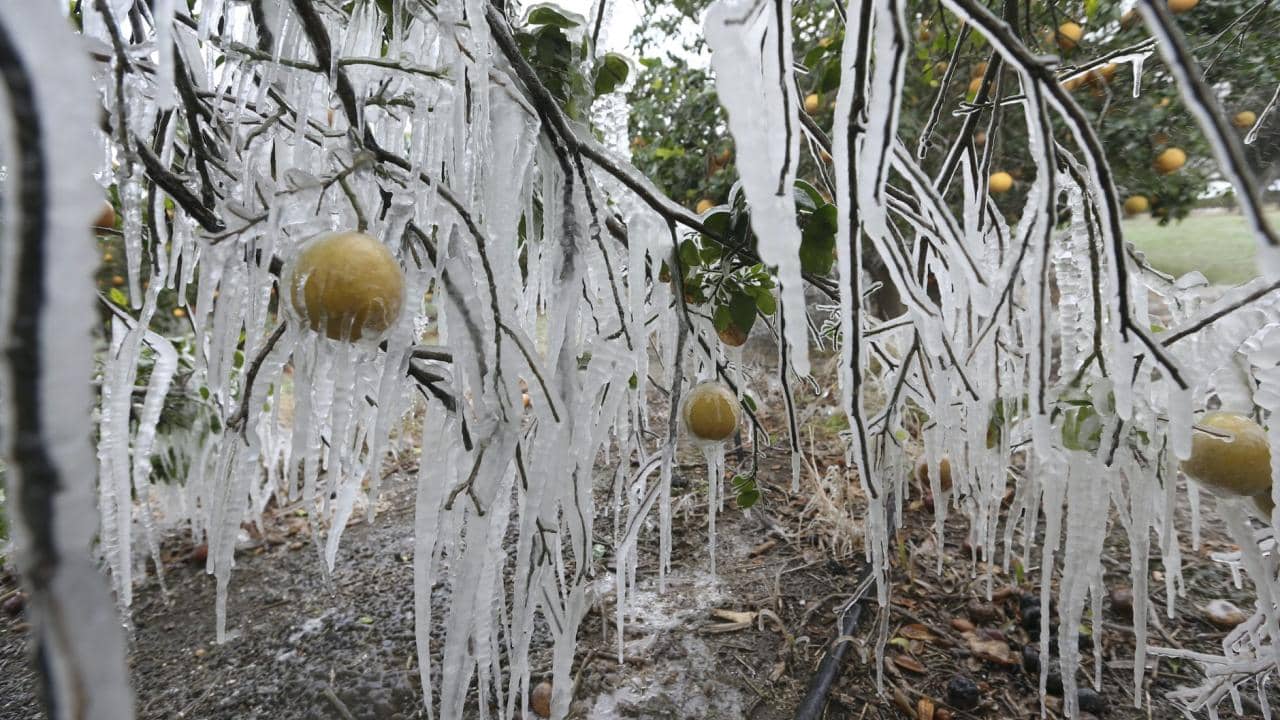 الأرصاد تُحذر من ليلة شديدة البرودة وتشكل للصقيع فجر السبت في عدة مناطق