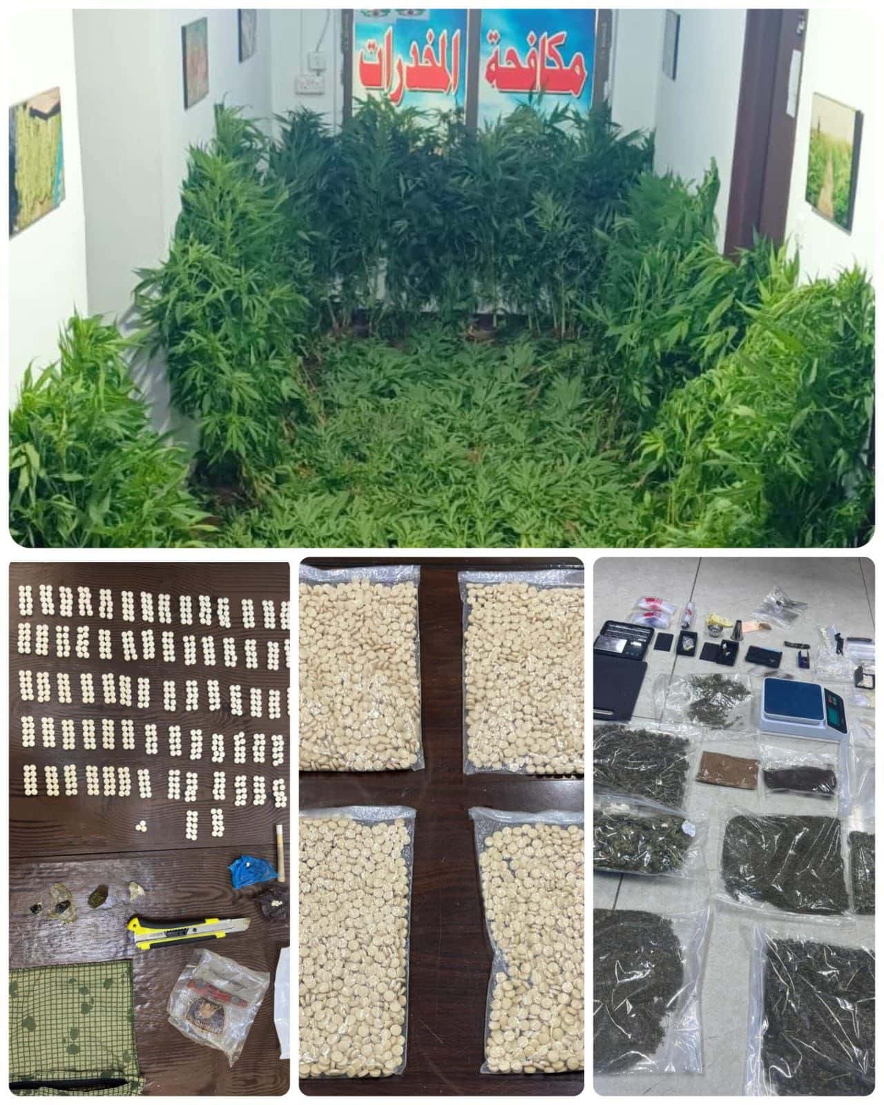 الدار - قال الناطق الإعلامي باسم مديرية الأمن العام إنّ العاملين في إ