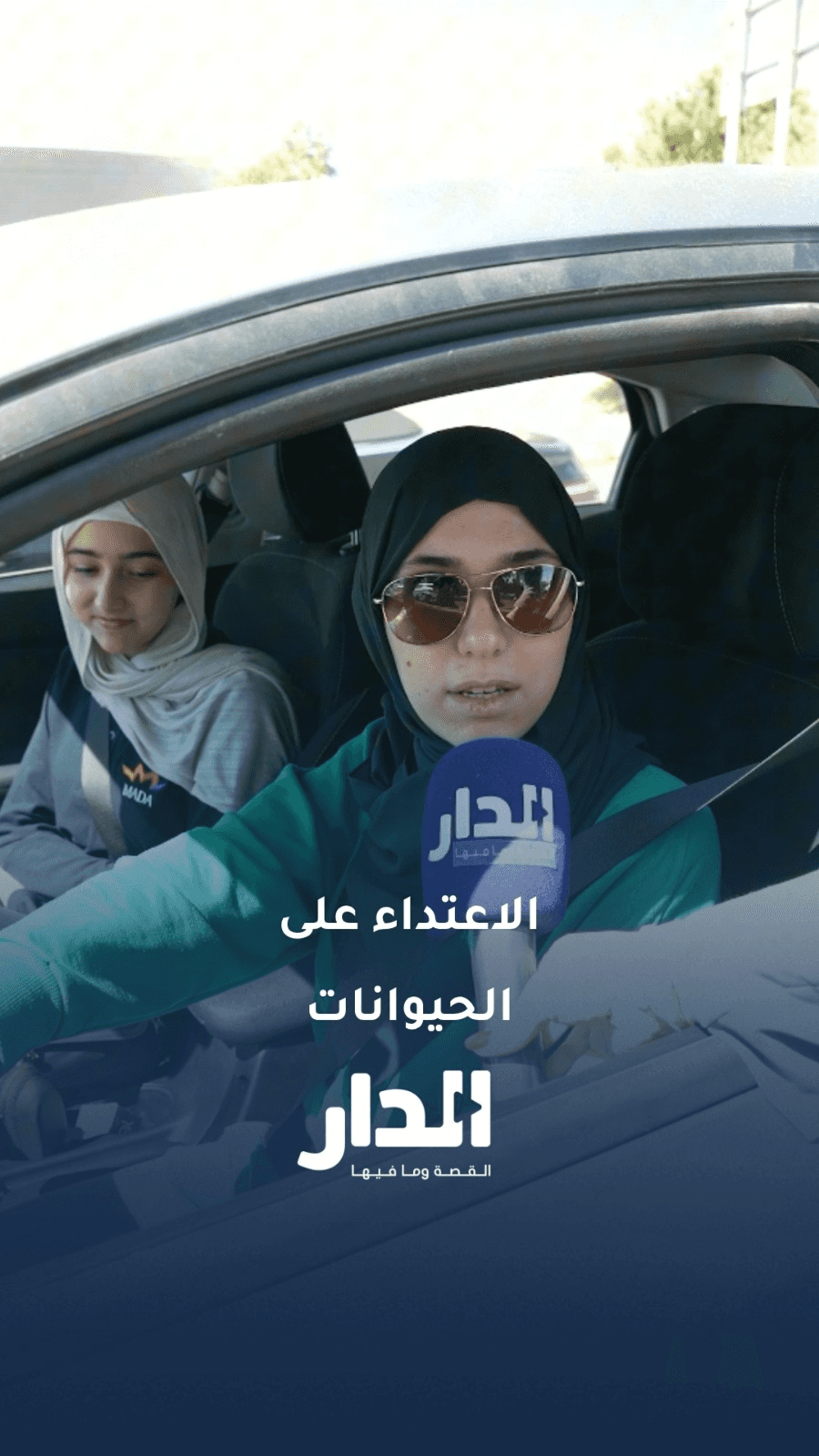 هل يوجد أي مبرر يبيح للإنسان الاعتداء على الحيوان؟