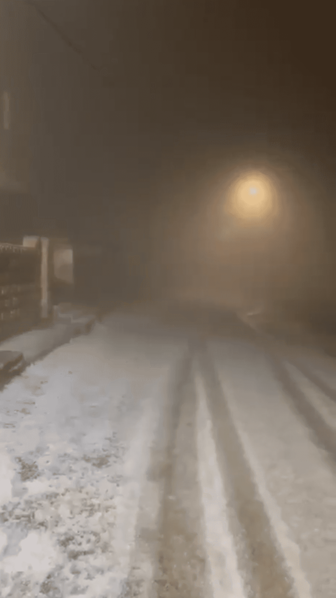 الثلوج تغطي منطقة الهيشة في جنوب المملكة