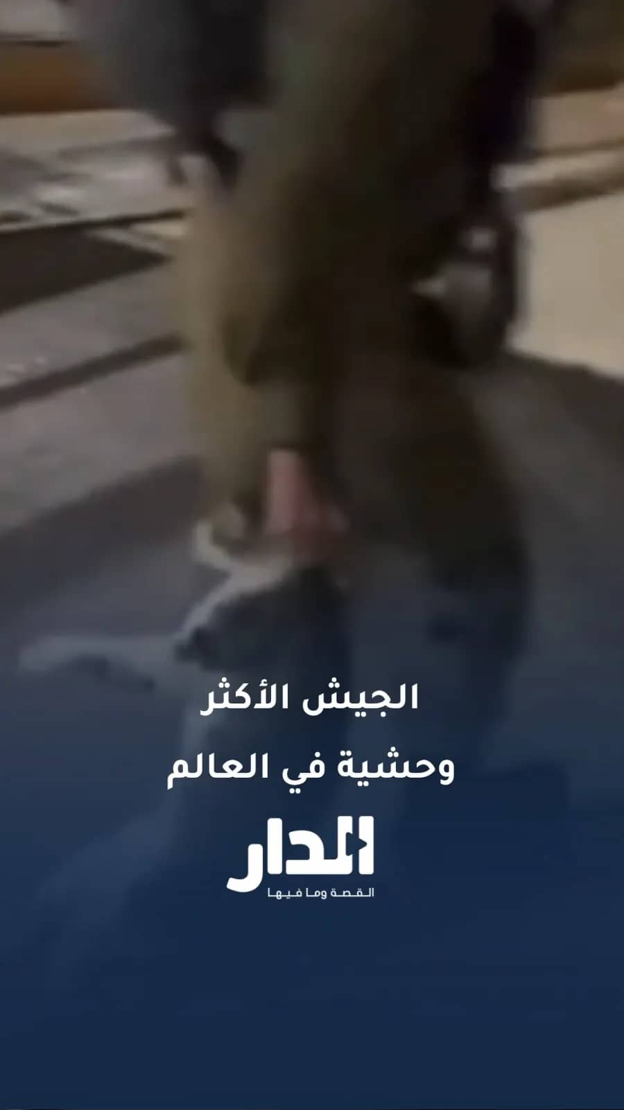 الجيش الذي يدّعي أنه الأكثر أخلاقية في العالم.. هكذا يعامل القطط أثار