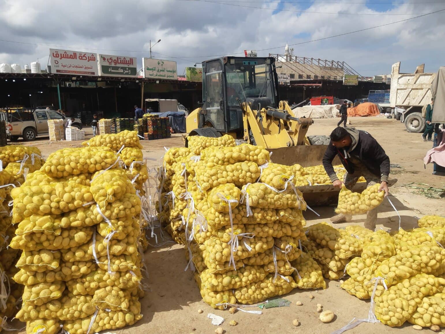 إتلاف 7 أطنان من البطاطا و80 كرتونة موز غير صالحة للاستهلاك في أسواق إربد