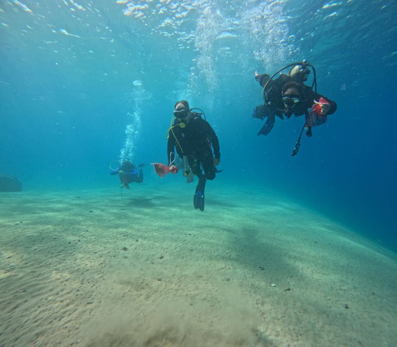 غطاسو الدفاع المدني ينفذون نشاطا ميدانيا لحماية البيئة وتنظيف جوف البحر في العقبة