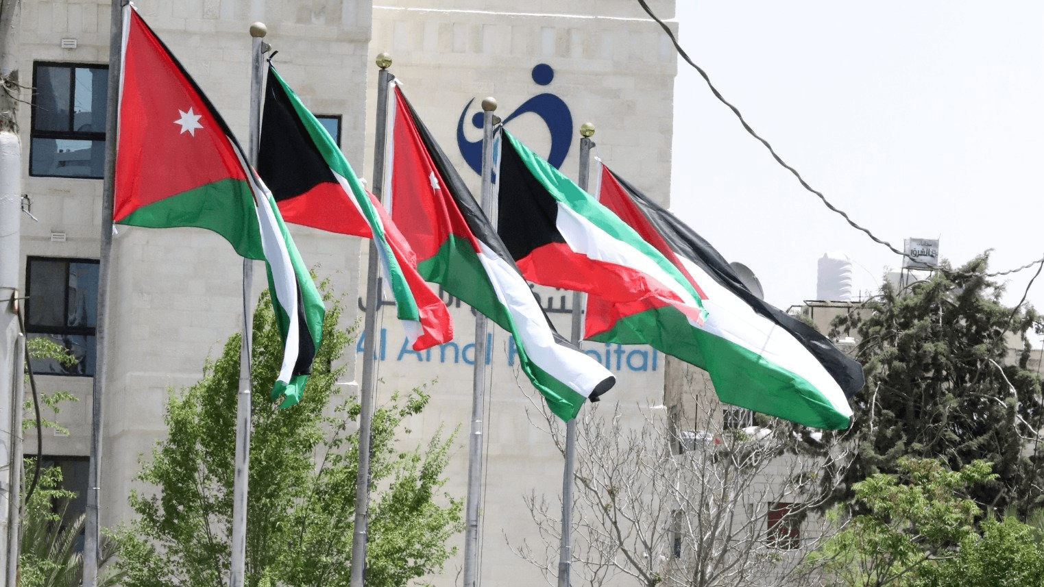 الدار - بحث نائب رئيس الوزراء ووزير الخارجية وشؤون المغتربين، أيمن الص