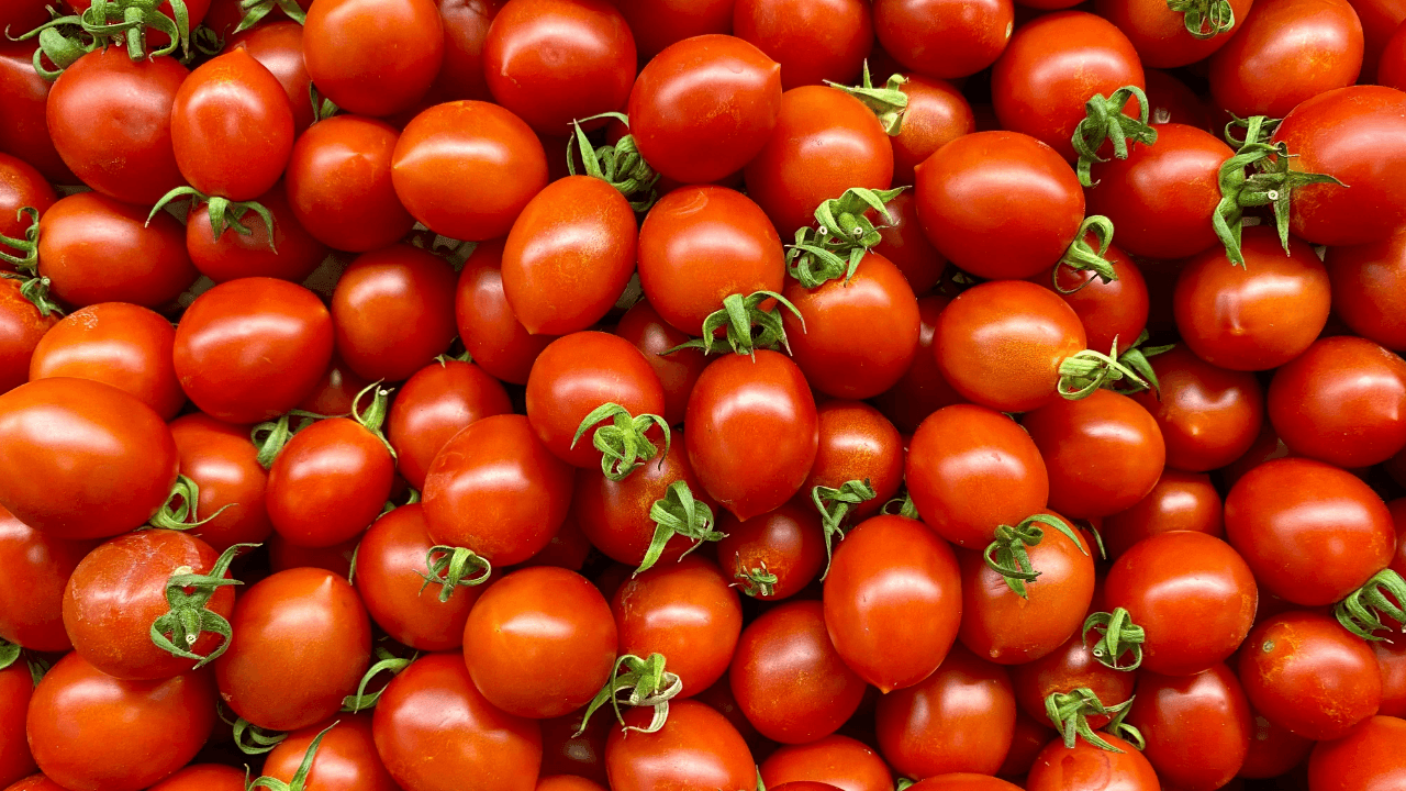 بلغت كميات الخضار الواردة إلى سوق الجملة المركزي التابع لأمانة عمان ال