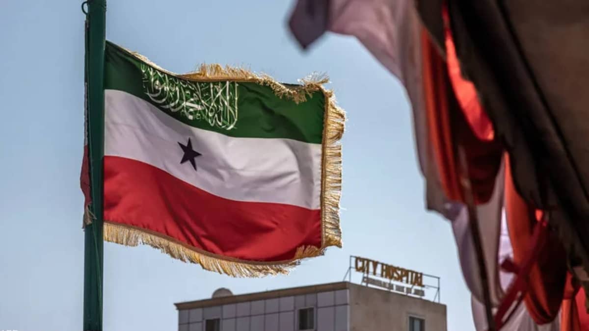 أرض الصومال تعرض على واشنطن حقوقاً حصرية لاستغلال مواردها المعدنية وإقامة قواعد عسكرية